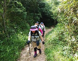 2020-6-21　極楽寺山山道