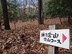 2020-11-24　神乃倉山麓の山道