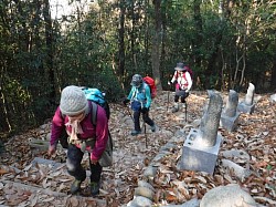 2020-12-22日浦山登山道入口付近