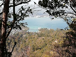 2021-2-2宮島厳島神社の鳥居は修復中で覆われている