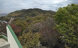 2021-4-3坂町横浜公園から見る春の森山