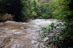 2023-4-30　大谷川清流