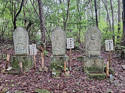 2023-6-22東広島市八本松88石仏山裾編