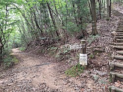 2023-7-15東広島市鏡山城公園登山道