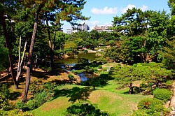 2023-9-9　空の下かつては宗箇山の松もよくみえたはず。