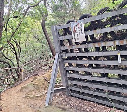 2023-10-04　牛田山　バラ公園入口付近