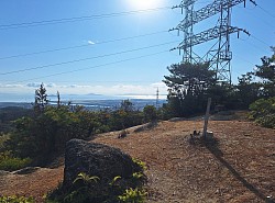 2023-12-28岩国市源氏山山頂付近の風景