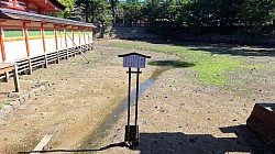 2024-9-26 厳島神社　鏡池