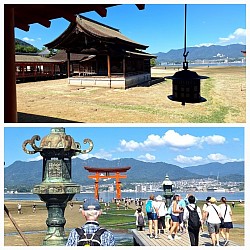 2024-9-26　厳島神社大鳥居など