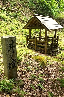 2025-6-7　鈴尾城跡井戸