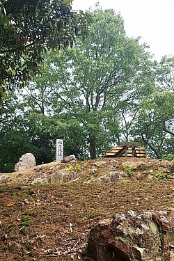 2025-6-7 鈴尾城跡山頂