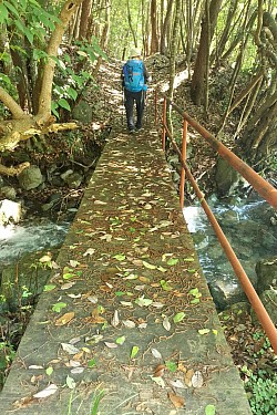 2025-6-28　安佐北区中郡古道の一部遊歩道