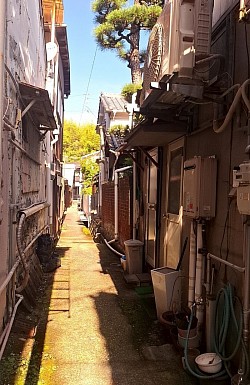 2025-9-21呉市吉浦山辺と海辺