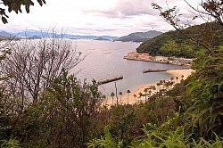 2025-9-21かるが浜公園散策路