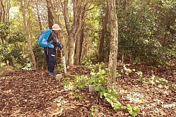 2025-9-21呉市吉浦つばくろ山