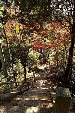 2025-11-15　熊野町ゆるぎ観音付近