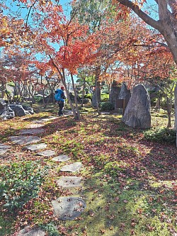 2025-11-29 仙石庭園の紅葉と庭石