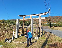 2025-11-29  高屋の田園と鳥居